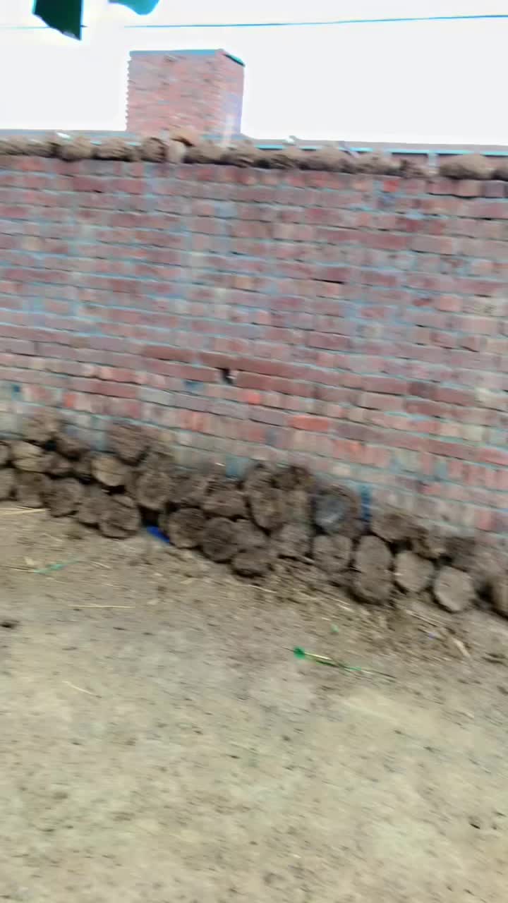 @👑چوہدری 👑
