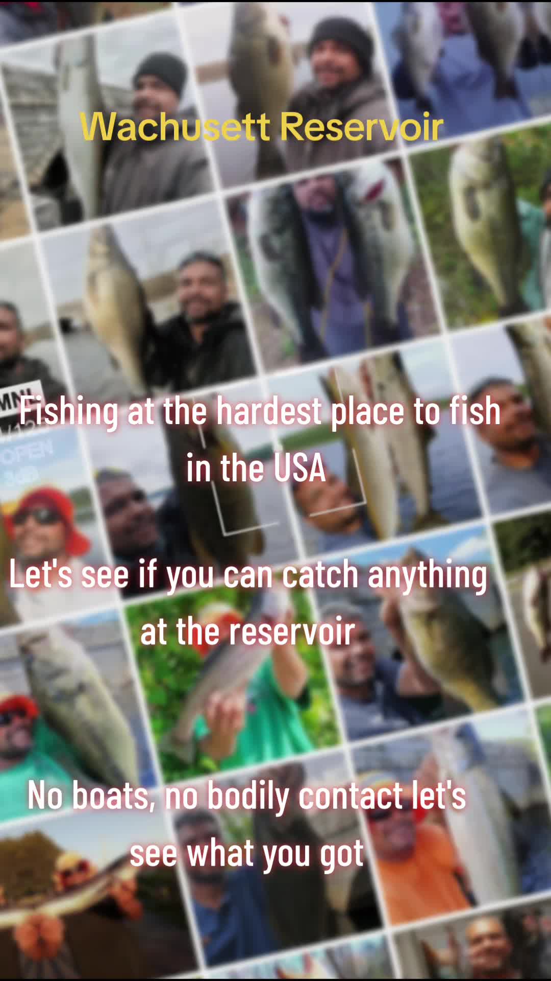 @Carlos Pagan