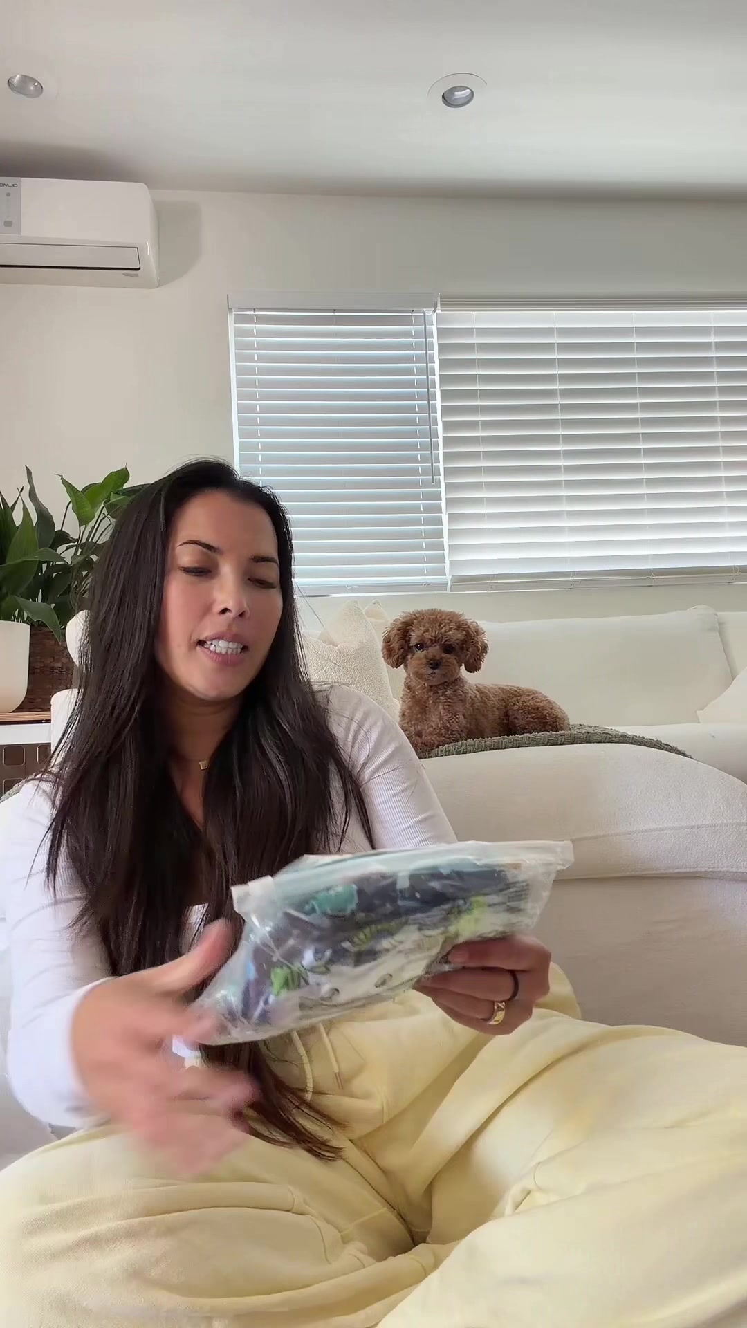 @enzoprincethepup