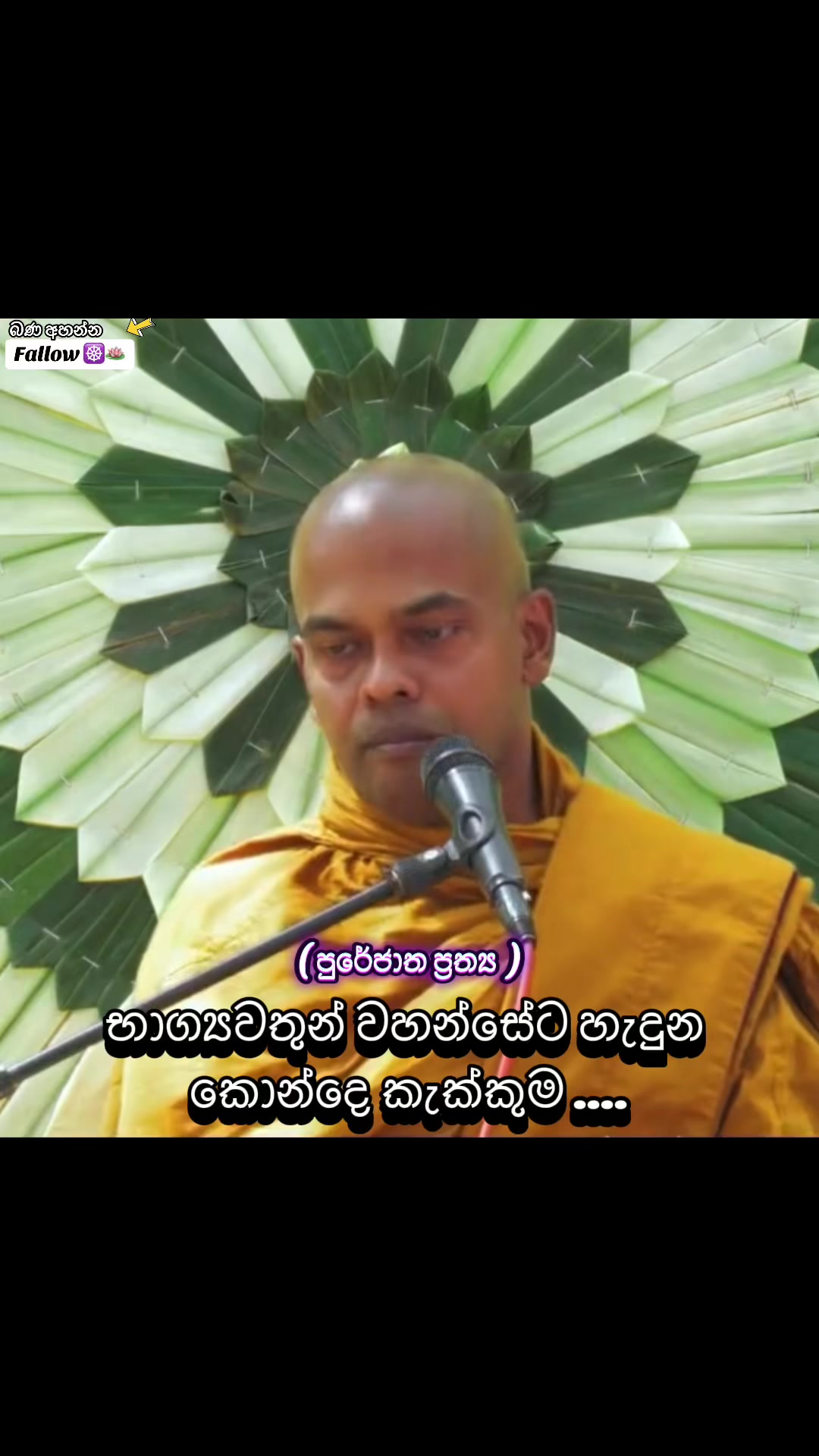 @තරුණ ජිවිතයට ධර්මය