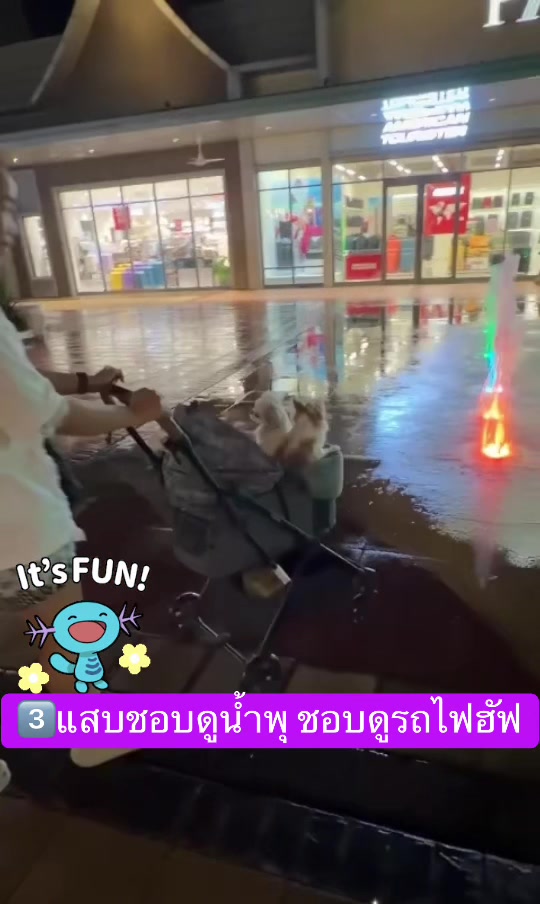 @Fb:Woww chihuahua