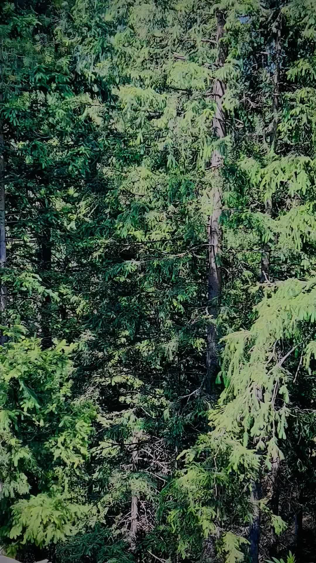 @𝐀𝐤𝐛𝐚𝐫 𝐀𝐥𝐢✨💝
