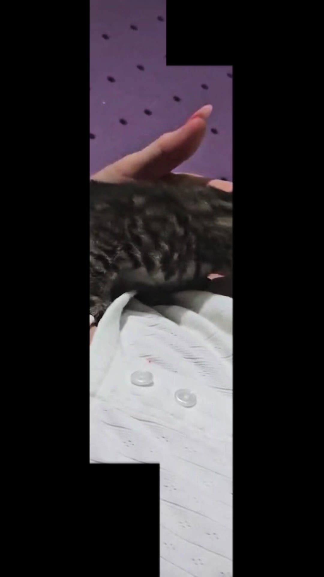 @purrrmeow