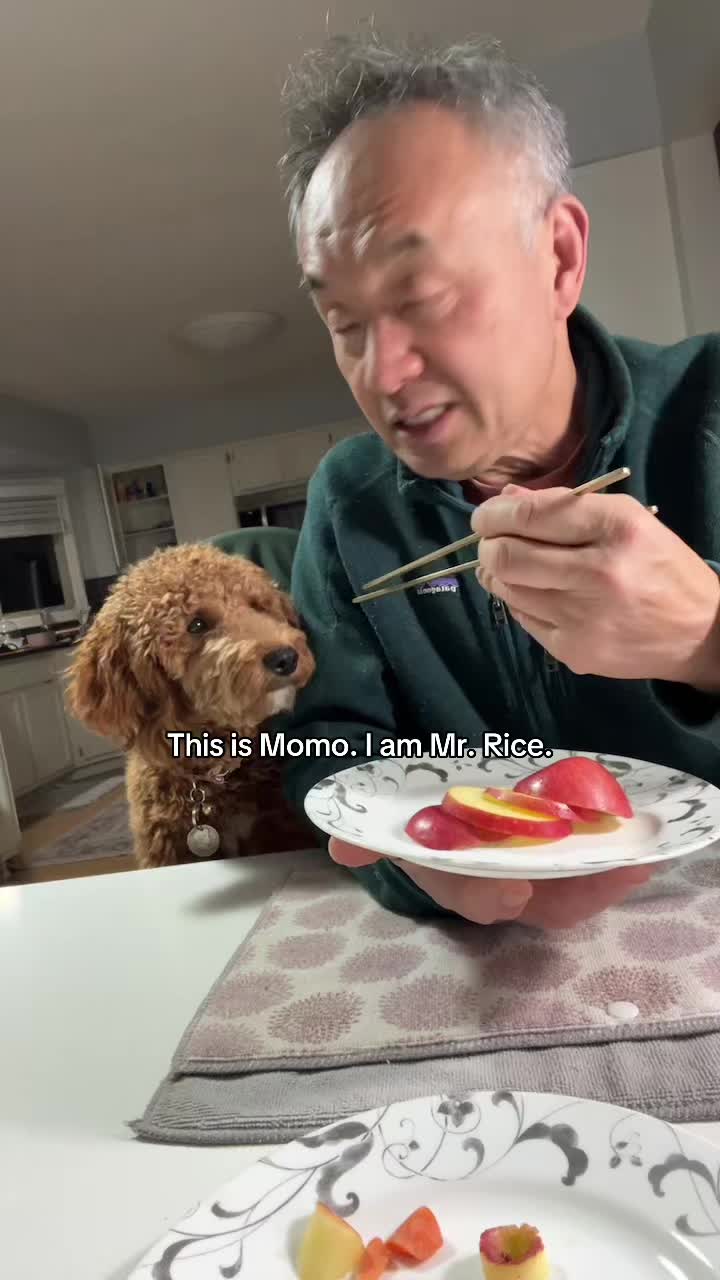 @Mrrice🌾