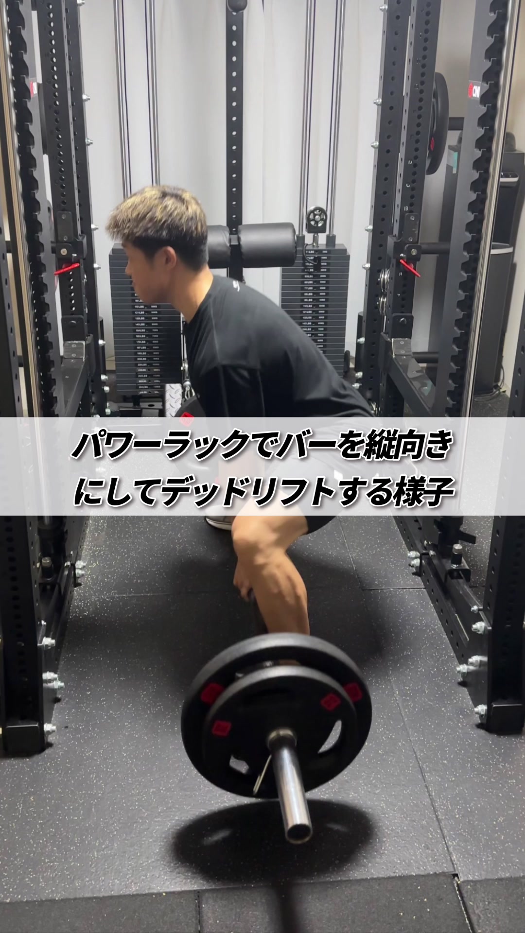@たんぱくとりお