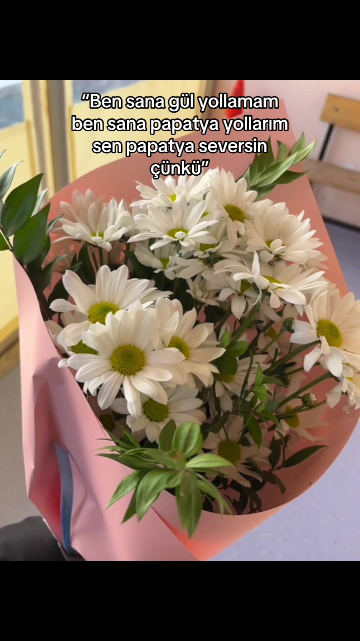 @ŞÇ