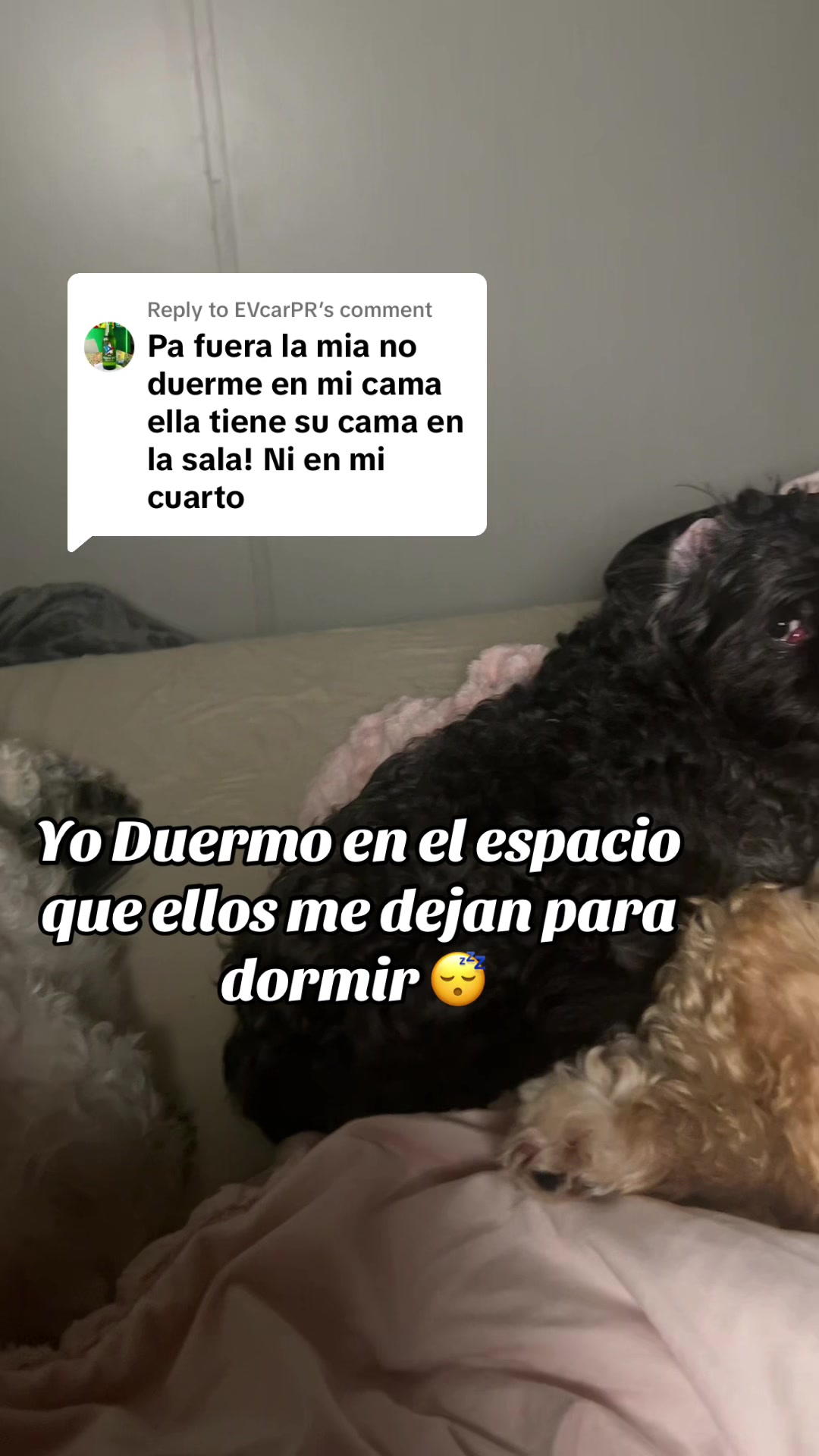 @Jessica Gómez
