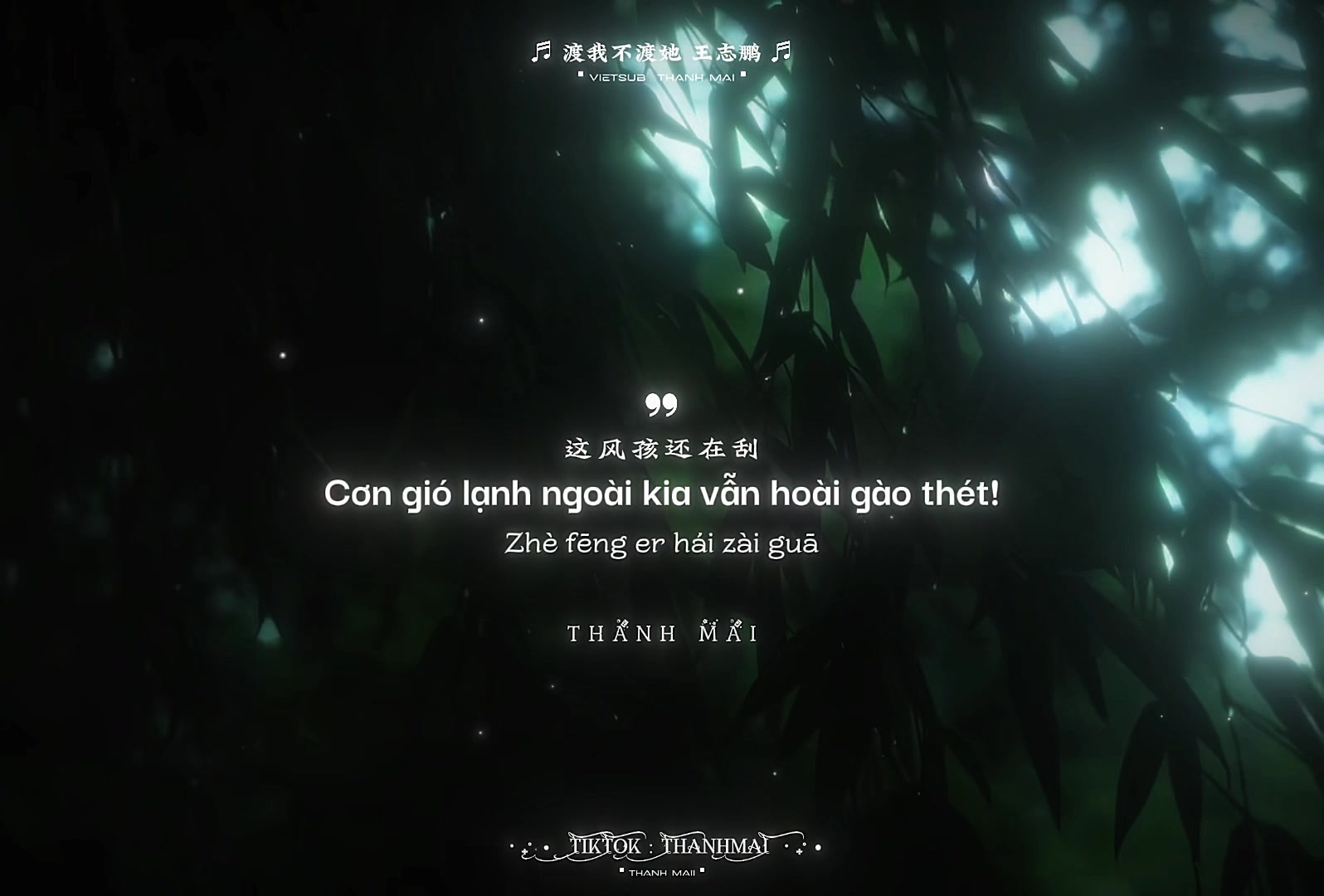 @𝗧𝗵𝗮𝗻𝗵 𝗠𝗮𝗶𝗶 青梅