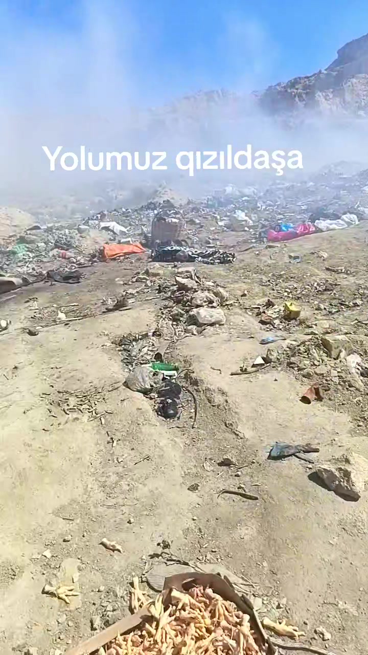 @Sahibsiz heyvanlara dəstək