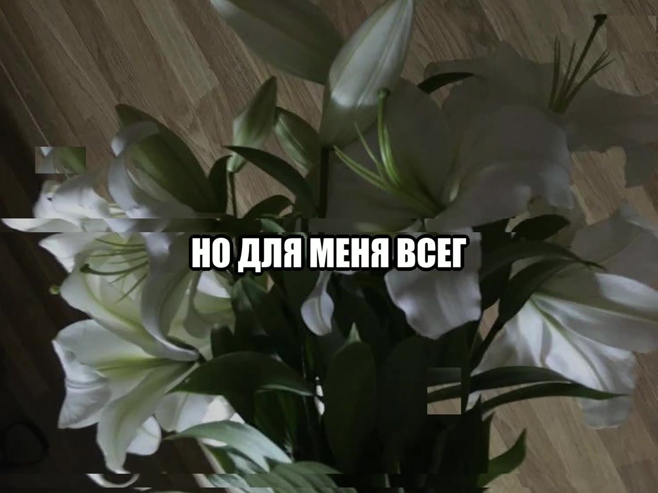 @звуки для липсингов