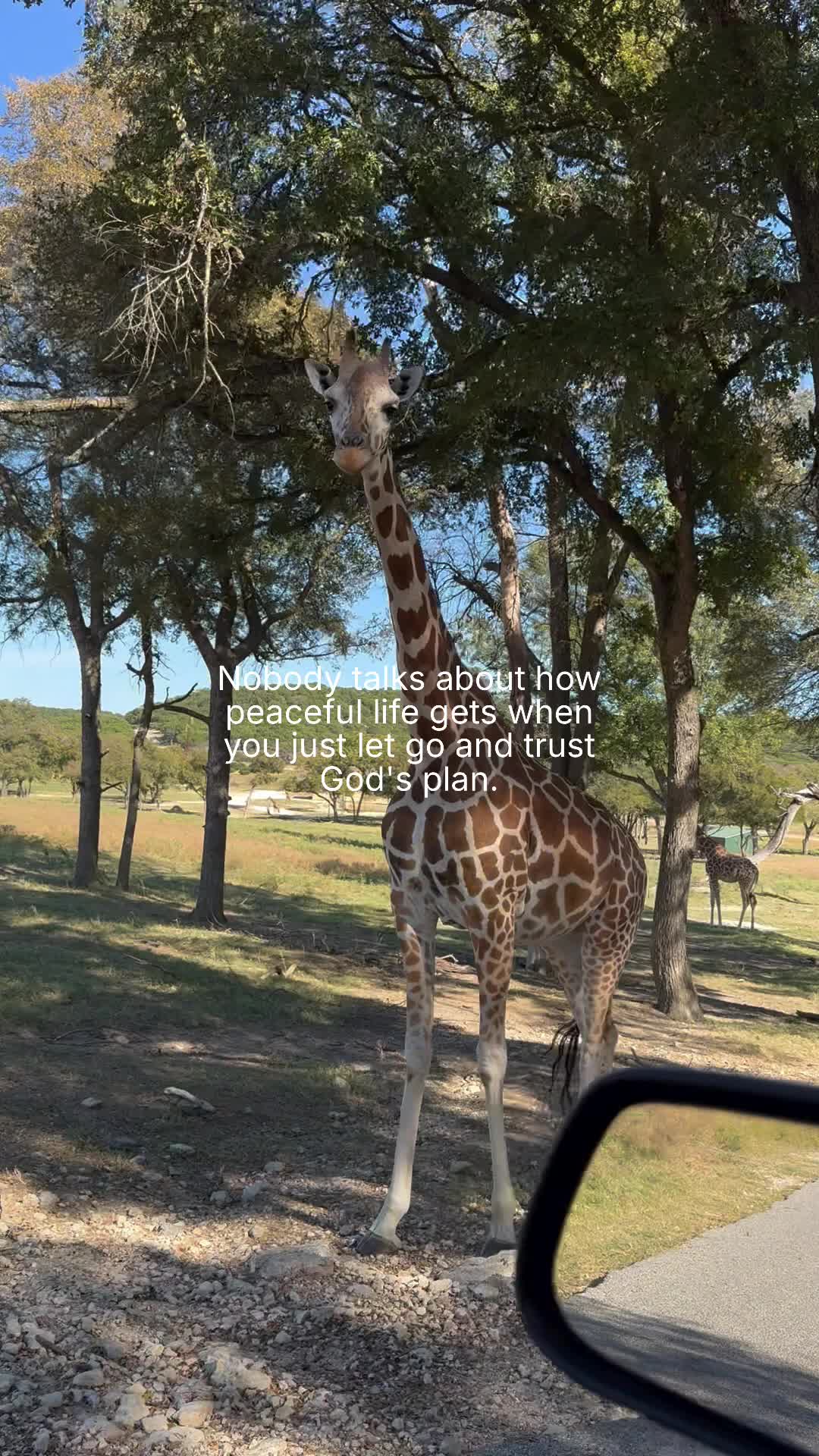 @ThatsSooCherry