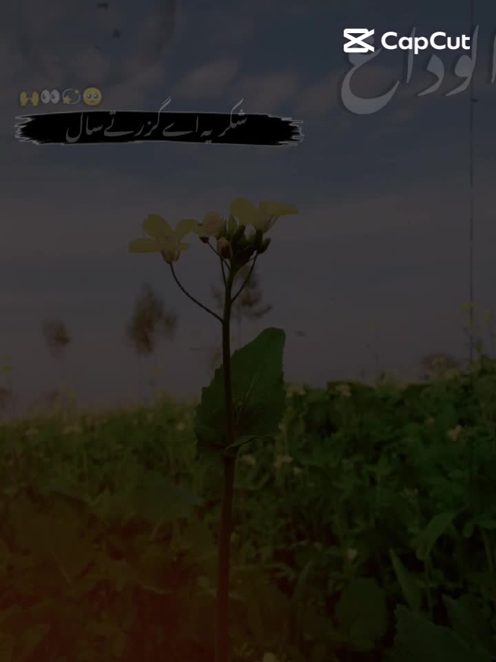 @Abu Sufyan