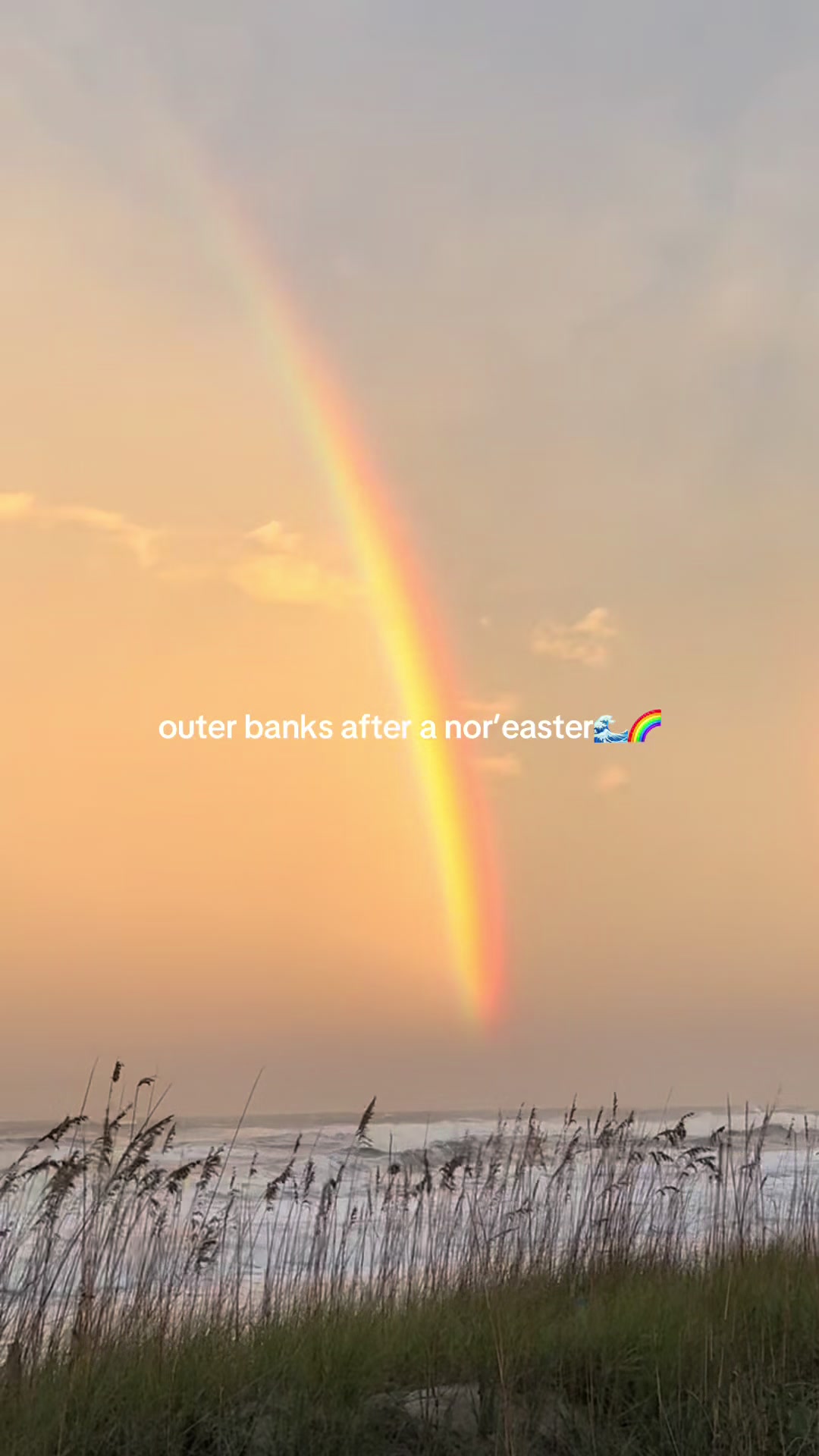 @Twiddy OBX