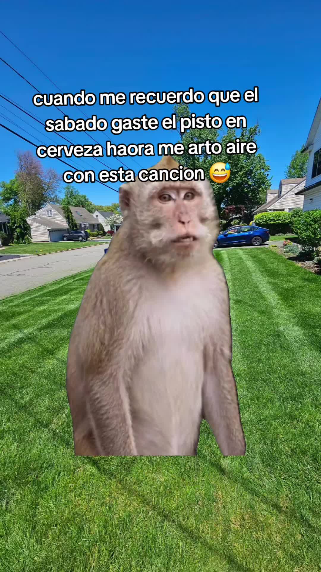 @caracol islen̈o 🇭🇳🇩🇴