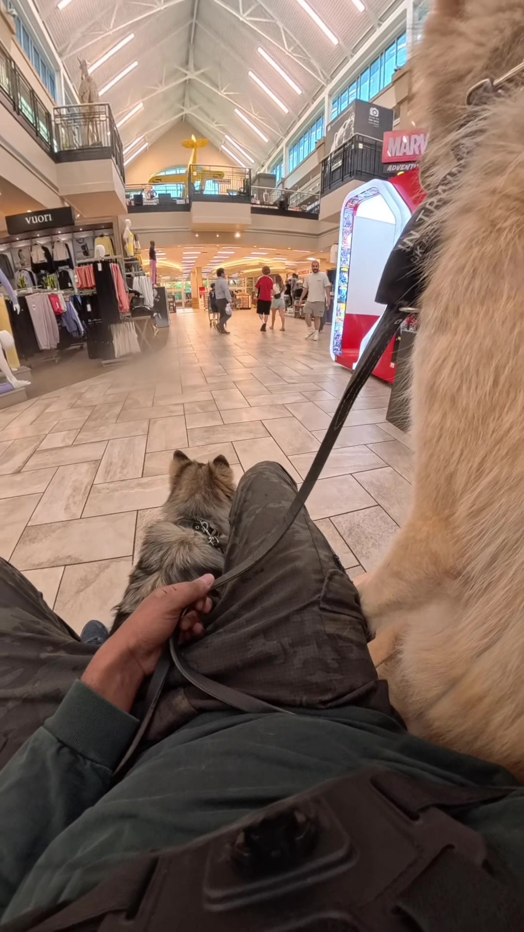 @Neko, Tokahli and Bear