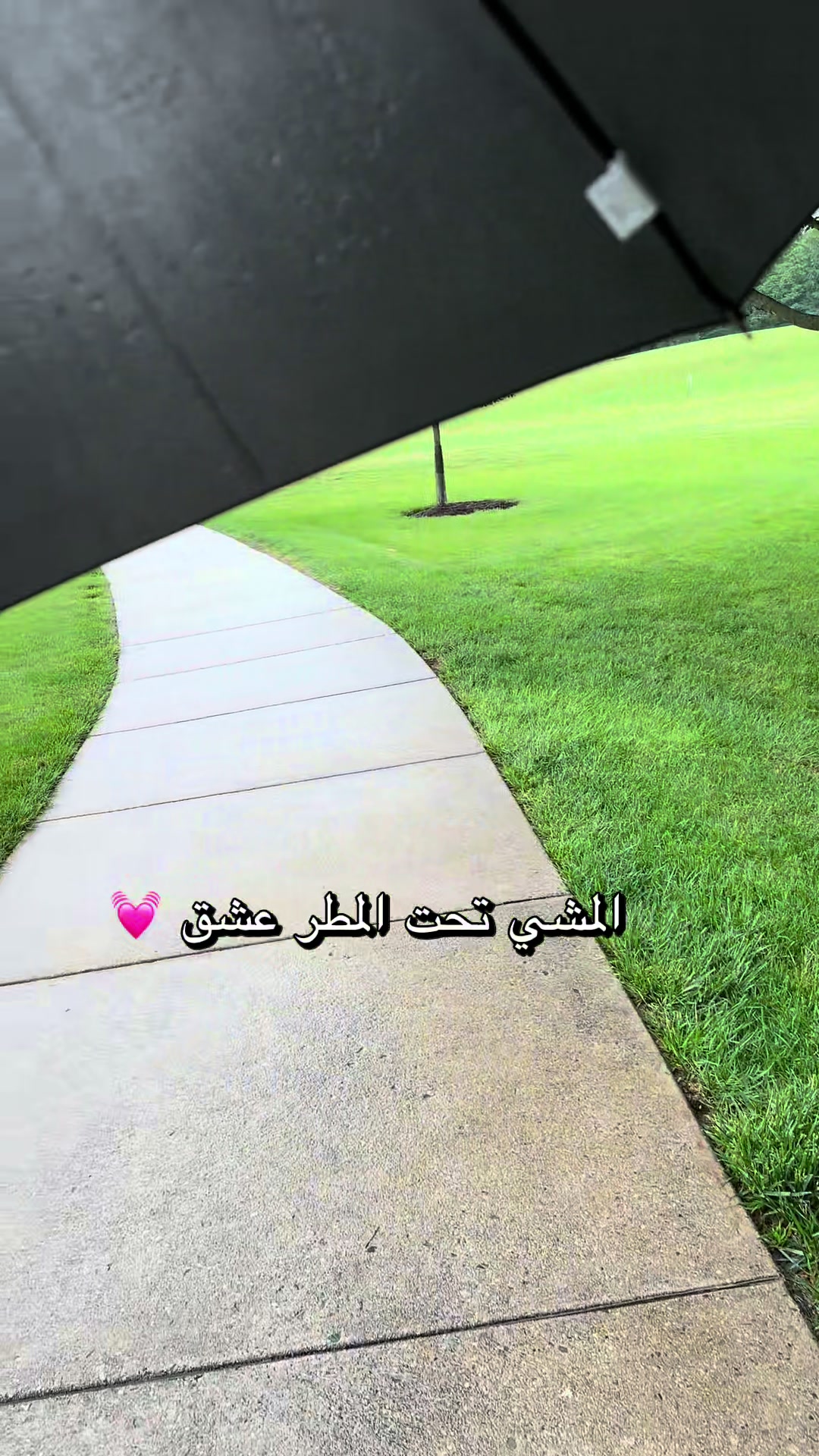 @Reema
