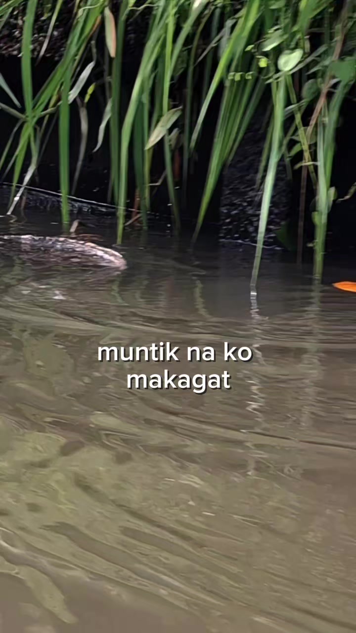 @Gene Baradi