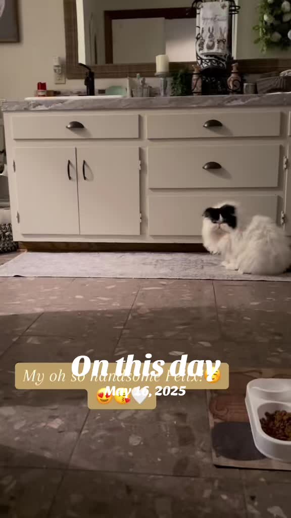 @Melissa’s9Lilfluffs