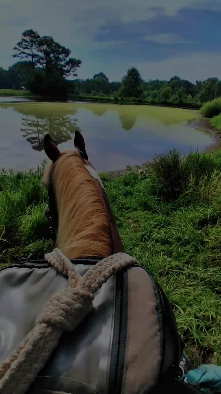 @dorissaddle_soul