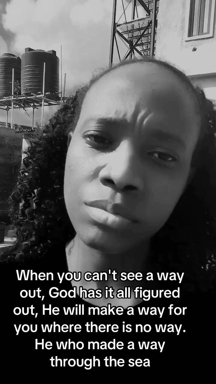 @Kingdom Shepherd