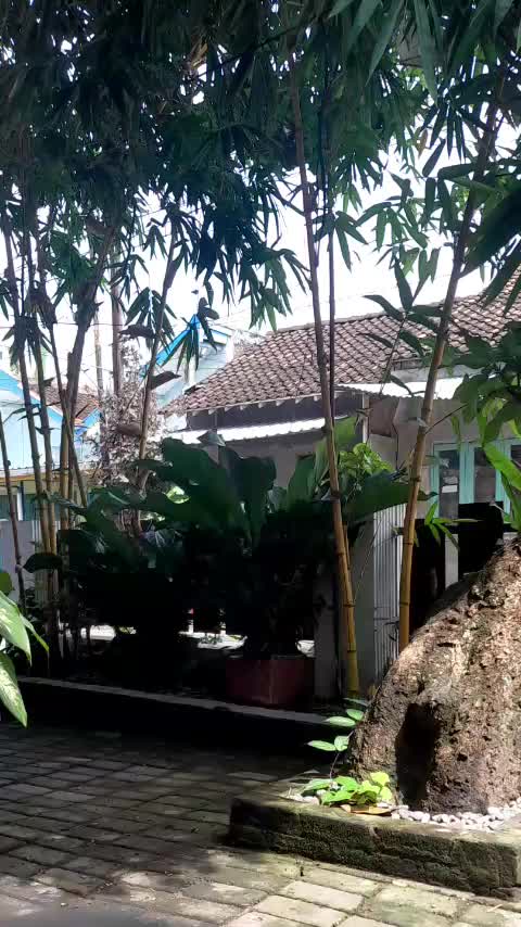 @Aaigo