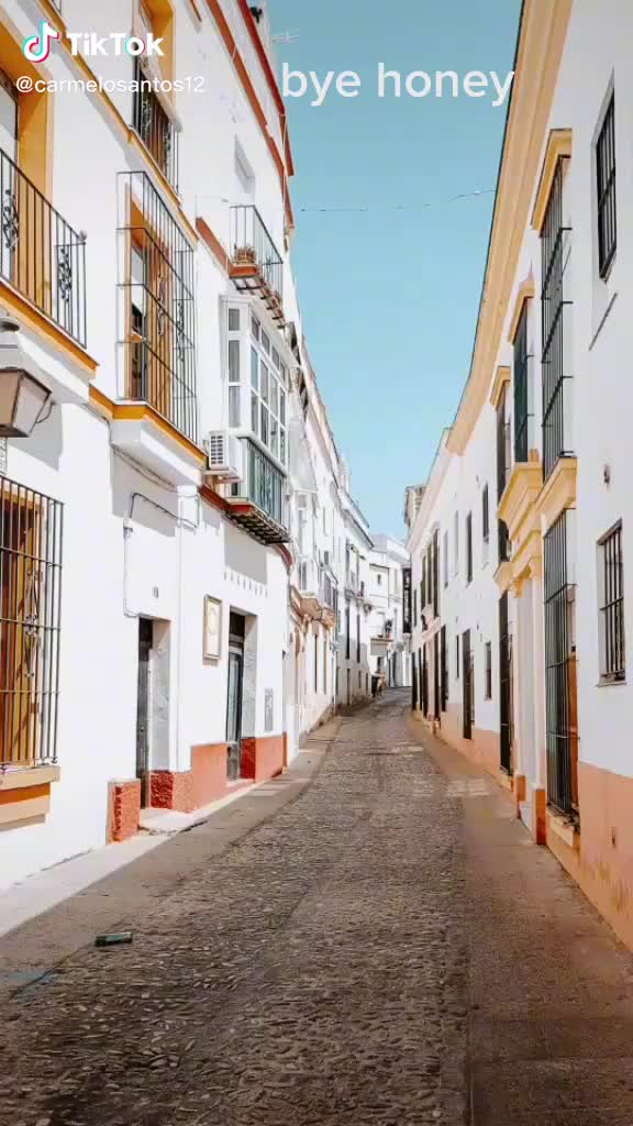 @Carmelo Santos240