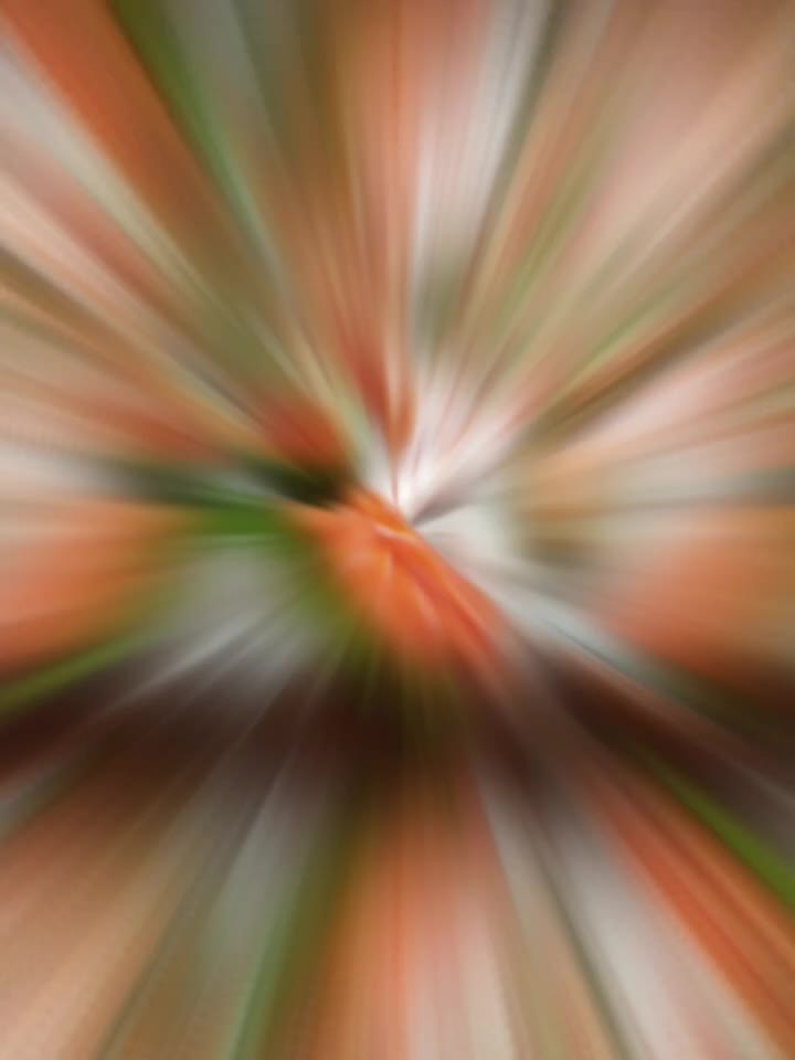 @刘七月