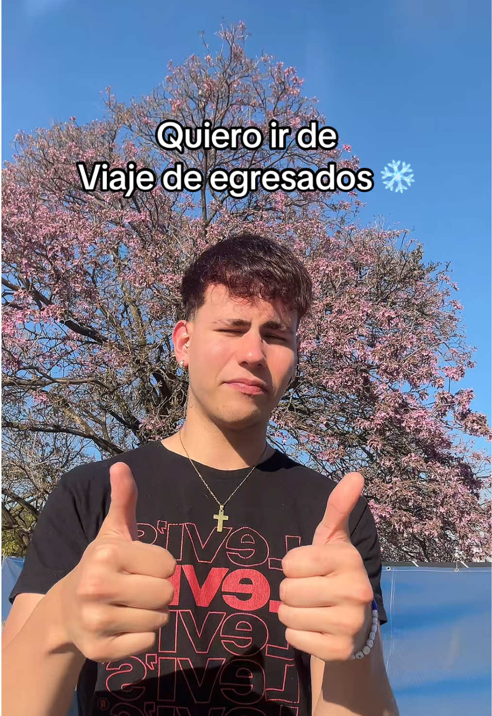 @MAXSISITO 🐢