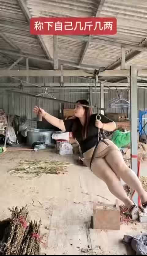 @晃晃悠悠