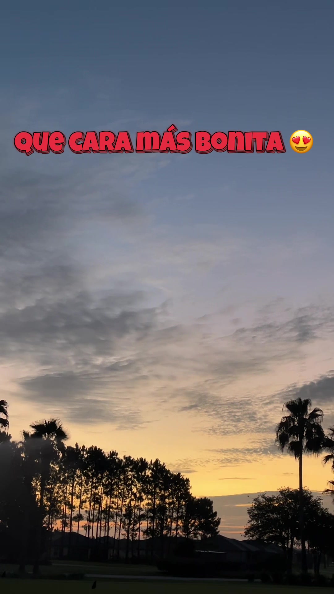 @masterzapata7dan