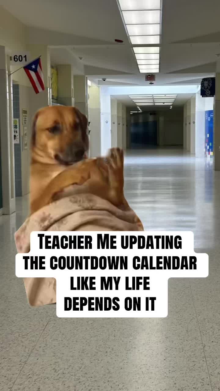 @teachertgonzalez