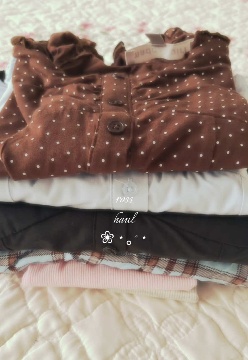 @amber ˚୨୧⋆。˚ ⋆