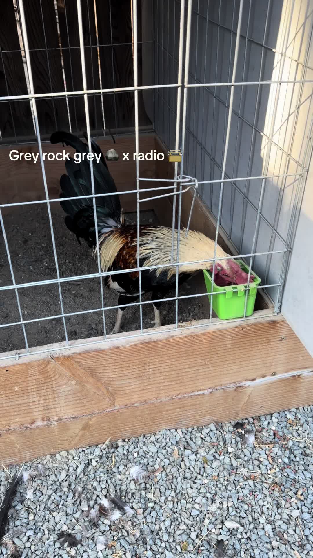 @Stranger Game Farm