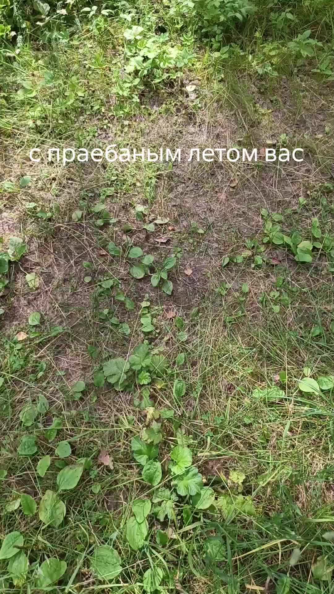 @мучачо