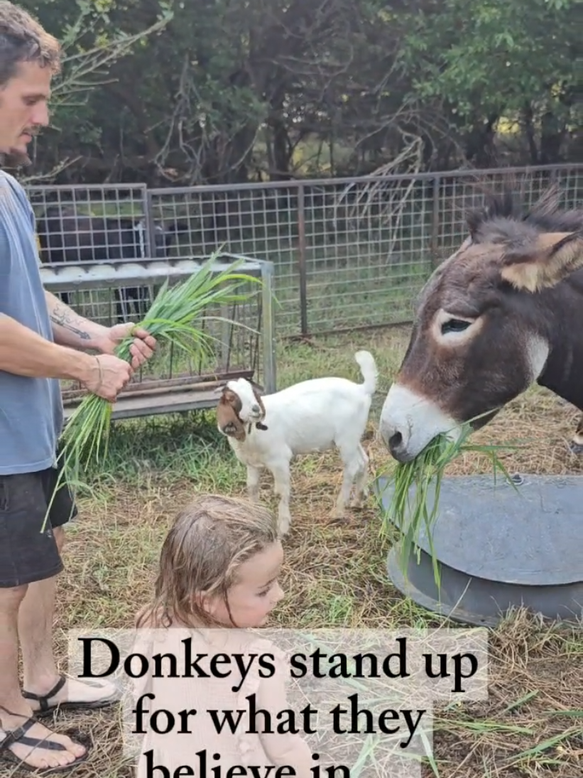 @EncompassFarming