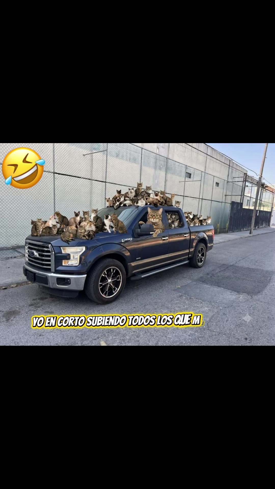 @Frestoys.FM