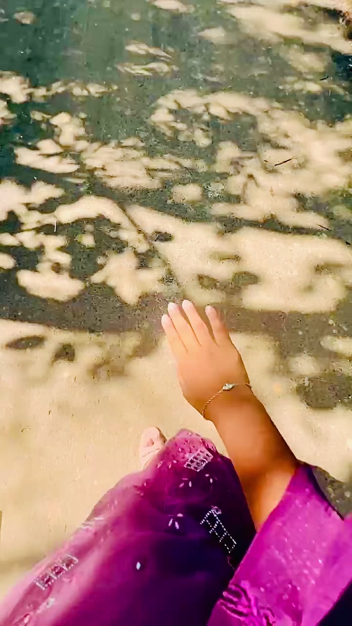 @🕊️