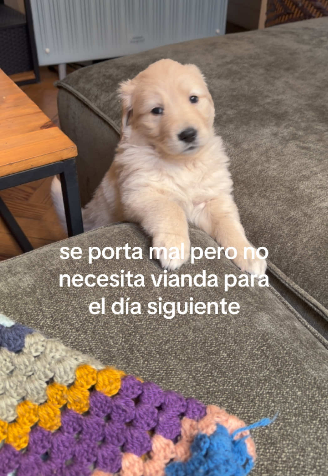 @Panchalagolden