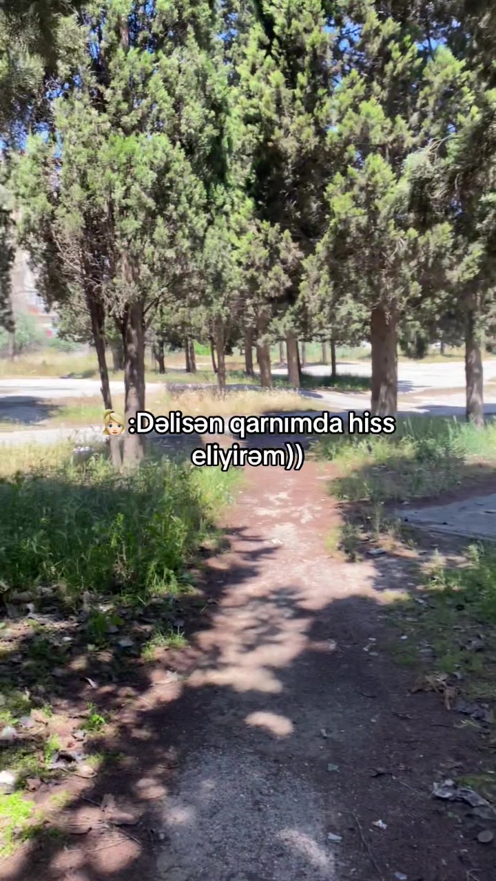 @gizli_hs