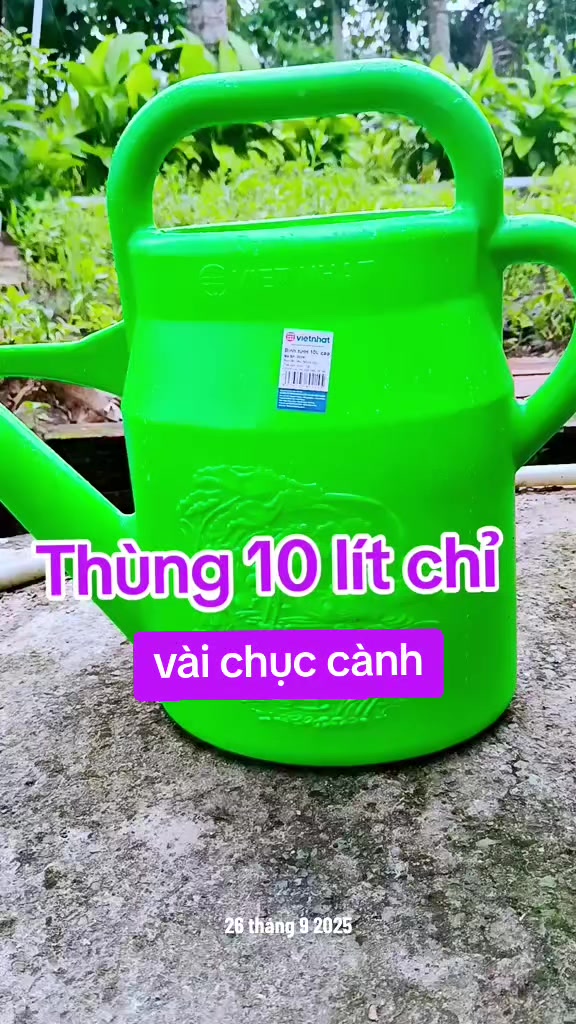 @Lạc Lạc