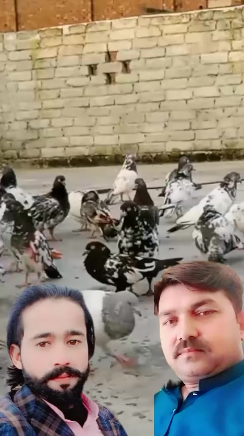 @ziddi Chauhan