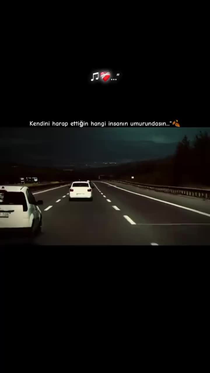 @mavig&ouml;l