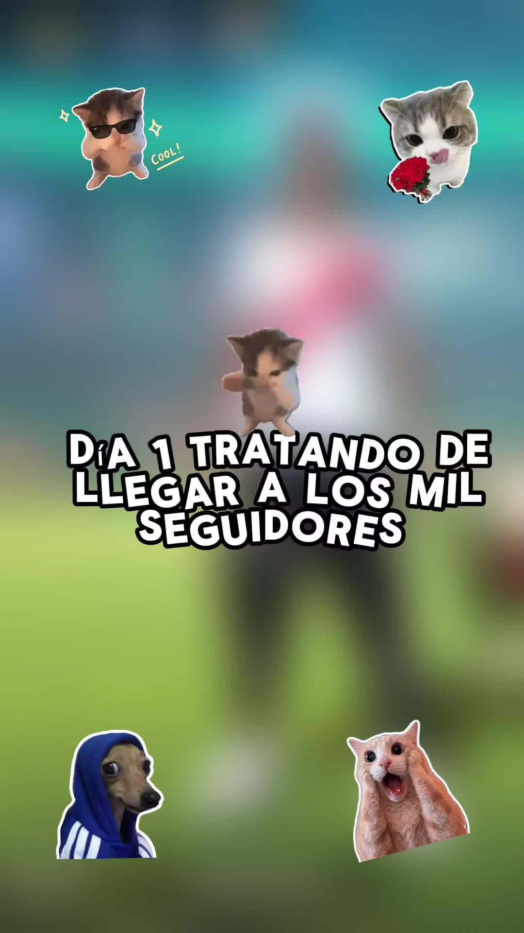 @🐼 SANTI FREE 🐼