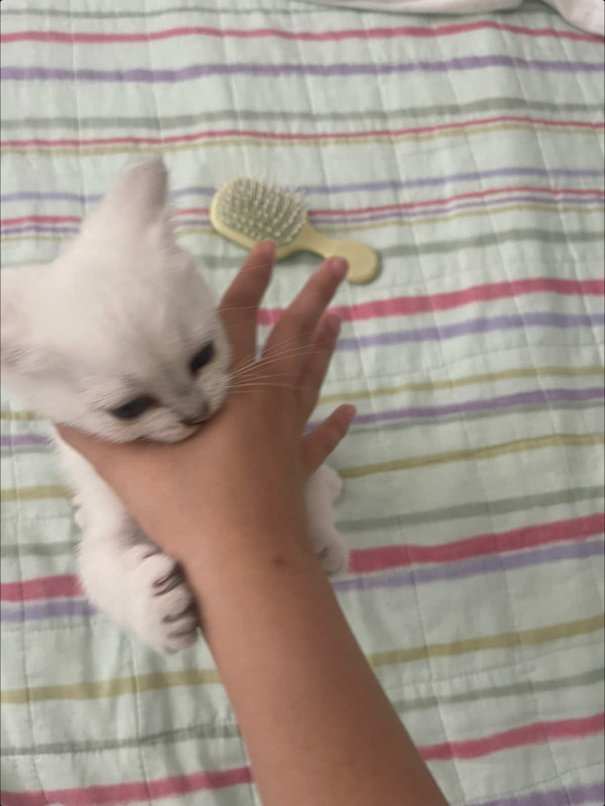 @FATI