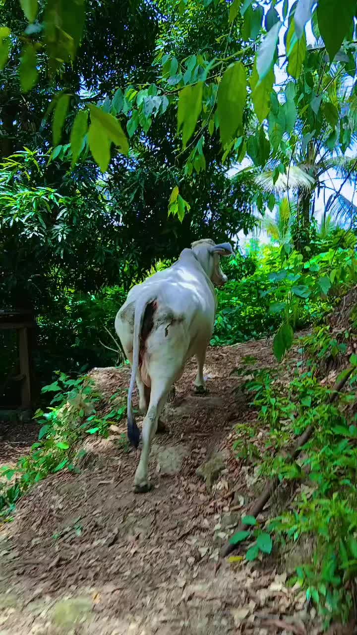 @Rancho Escondido🐂🐄🐃📿🌾🙏