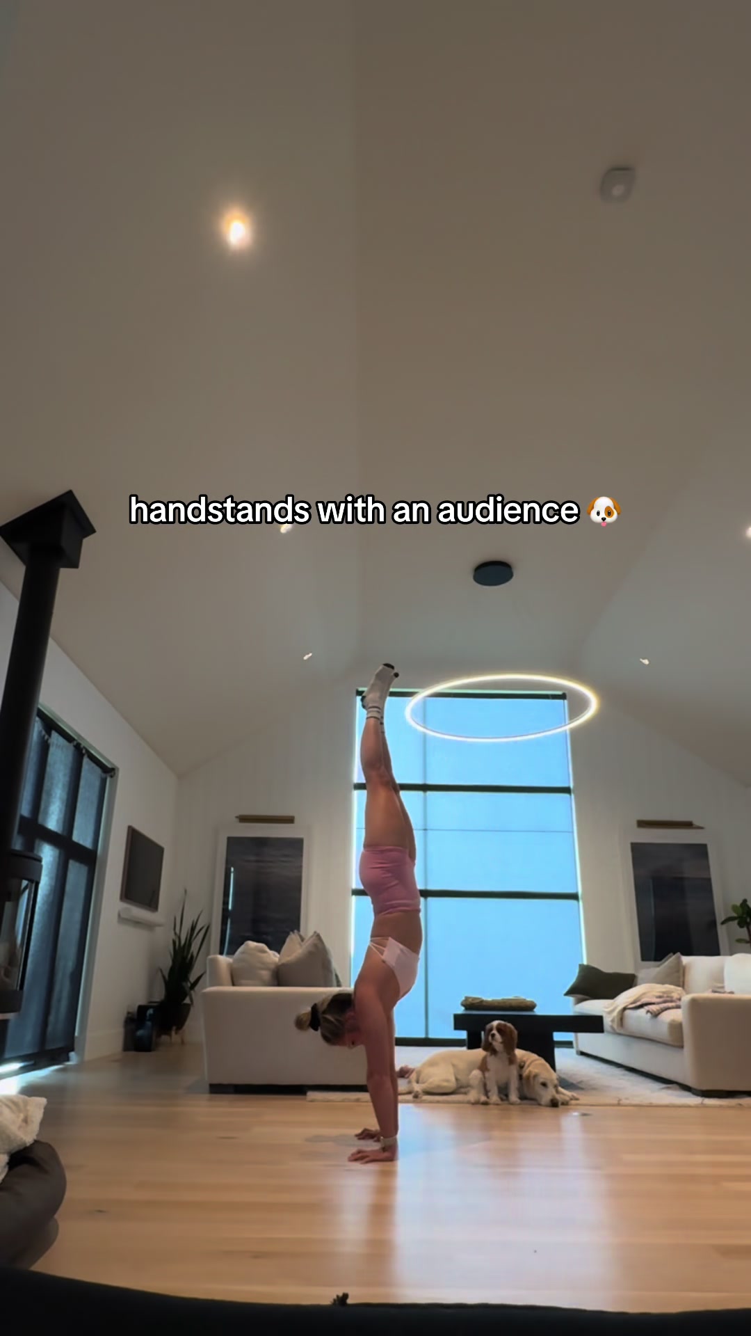 @CJ | Calisthenics | Fitness🦋