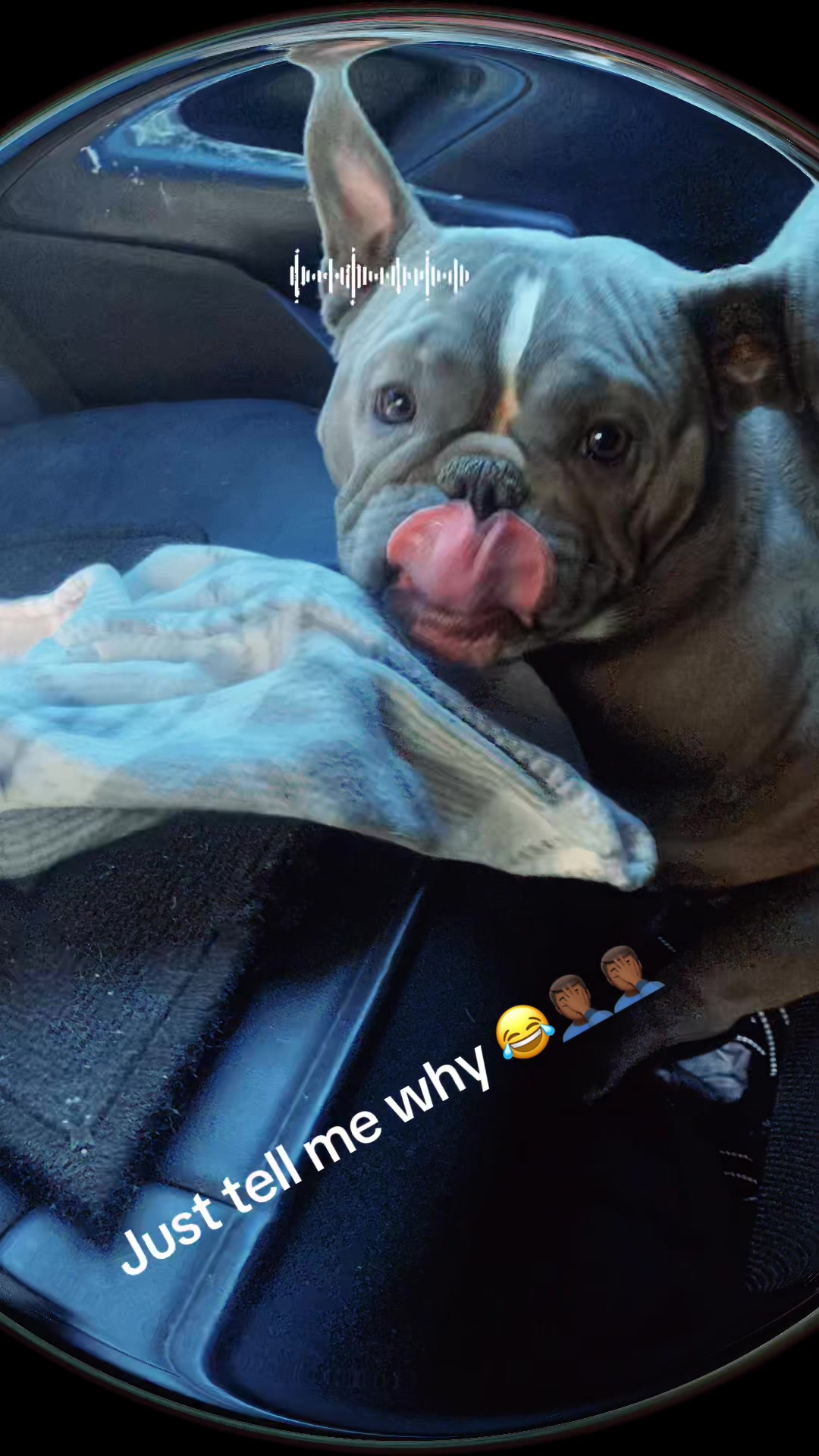 @Ace.Dollazz