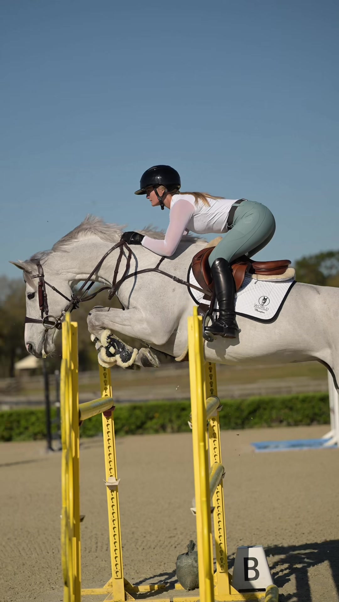 @Free Ride Equestrian
