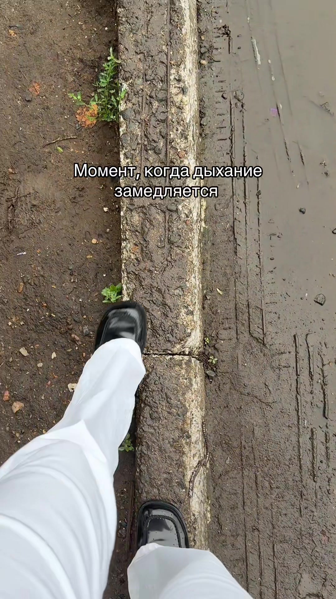 @саша кужман