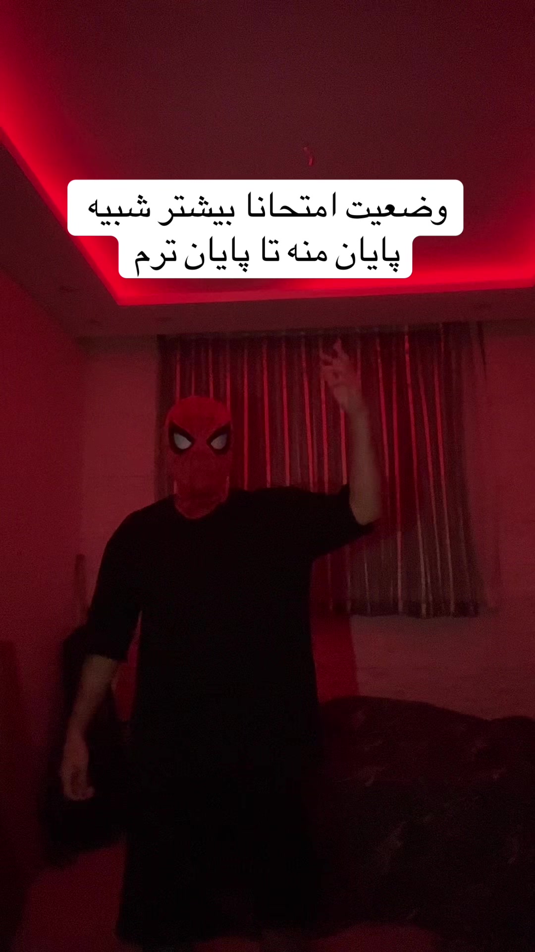 @Tt ankabooti🕷️🕸️